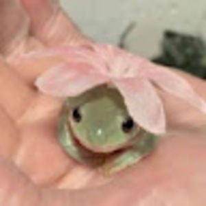 Meet your Posher, Denise